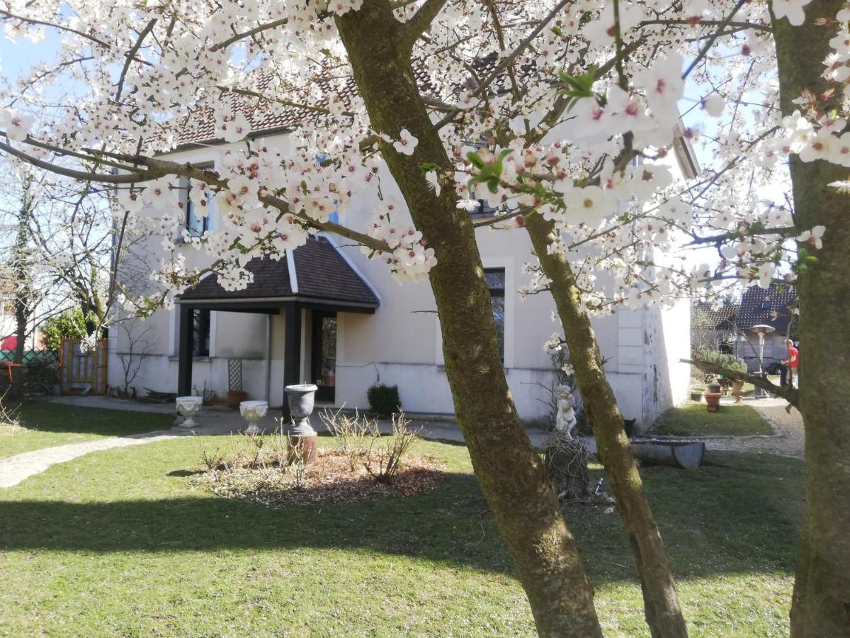 Hôtellerie Jardiniers Gourmands Morsains Extérieur photo