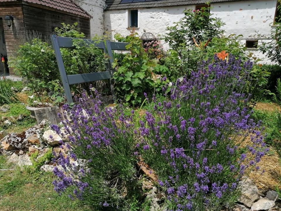 Hôtellerie Jardiniers Gourmands Morsains Extérieur photo