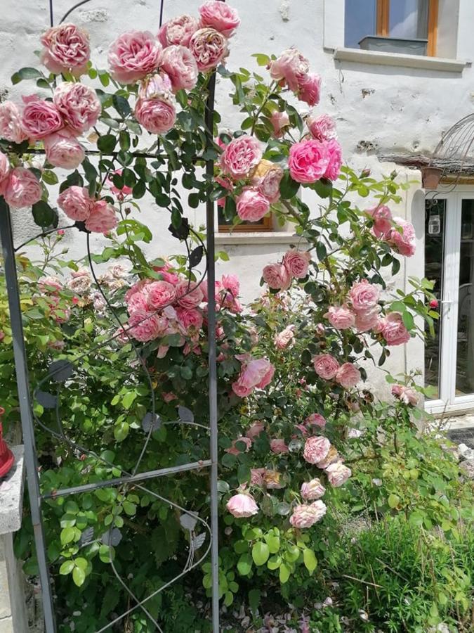 Hôtellerie Jardiniers Gourmands Morsains Extérieur photo