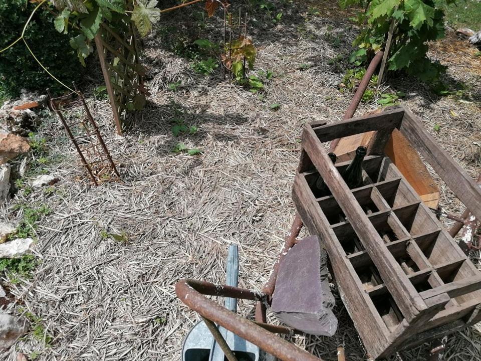 Hôtellerie Jardiniers Gourmands Morsains Extérieur photo